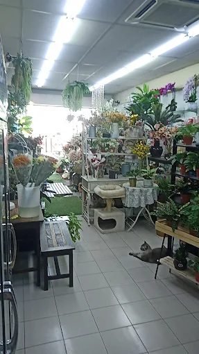 Sharnas Floral & Gifts