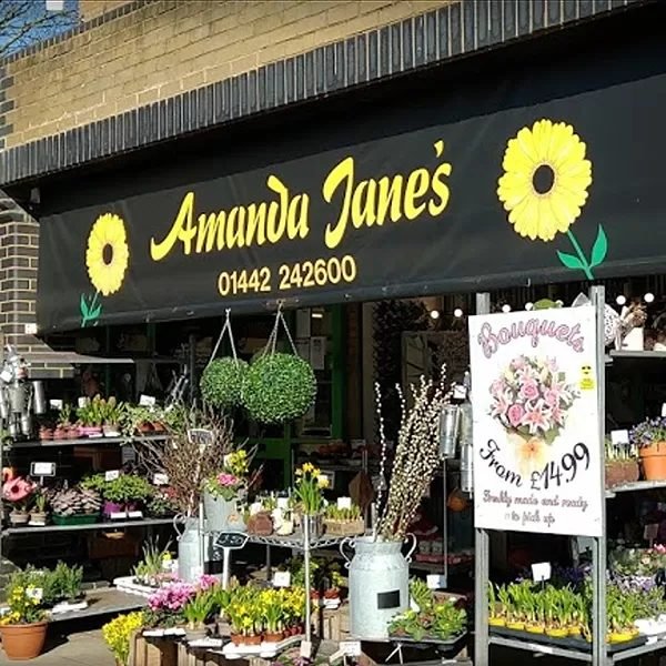 Jane Florist & Gifts Sungai Petani