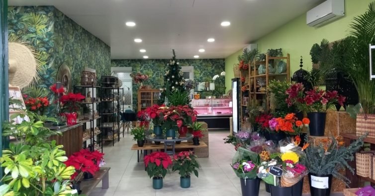 Florista kinabalu