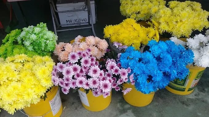 Cherran flower shop