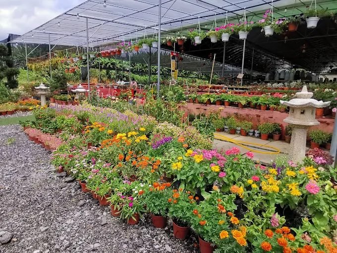Flower Landscape Design & Supplies