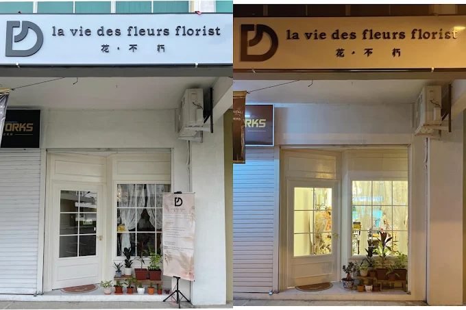 La vie des fleurs florist