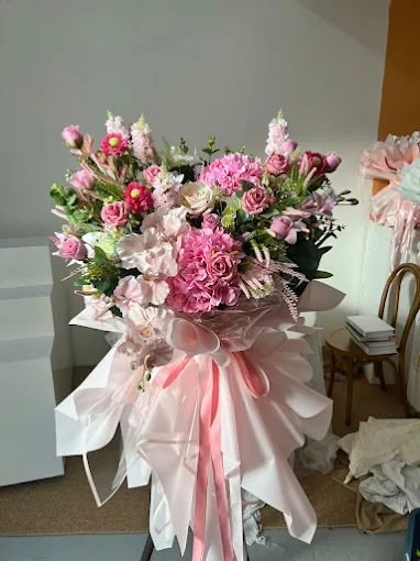 Sophia Creation