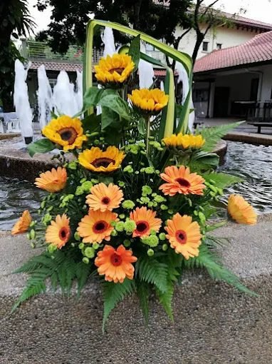Sweet Notes Flowers and Gifts