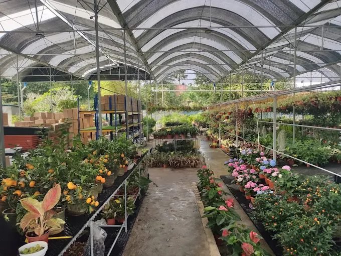 T&T Eco Florist