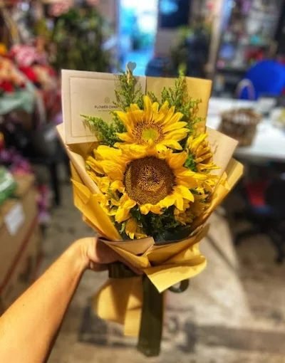 Wonderland Florist