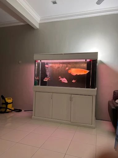 didot tukang elektronik, Putrajaya