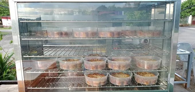 Kuih Bakar Pandan Dak Serul Melaka